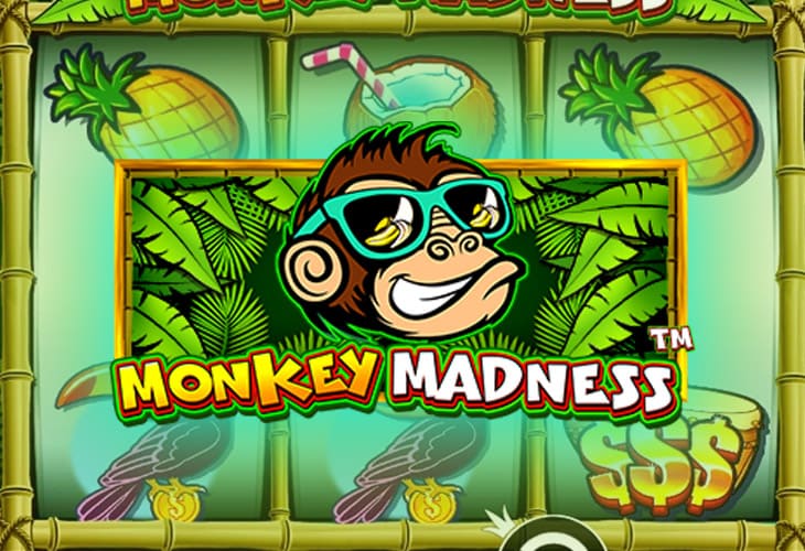 Monkey Madness - Pragmatic Play slot at Kartáč Kasino Casino